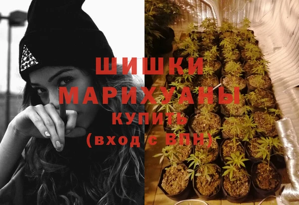 трава Алзамай