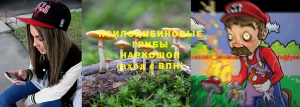 молекула духа Алексин