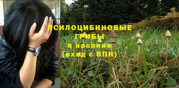 трава Алзамай