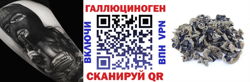 Галлюциногенные грибы мухоморы  Гаврилов Посад 