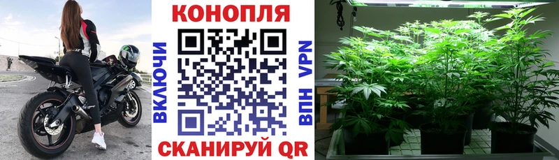 наркотики  Гаврилов Посад  blacksprut вход  Канабис THC 21% 